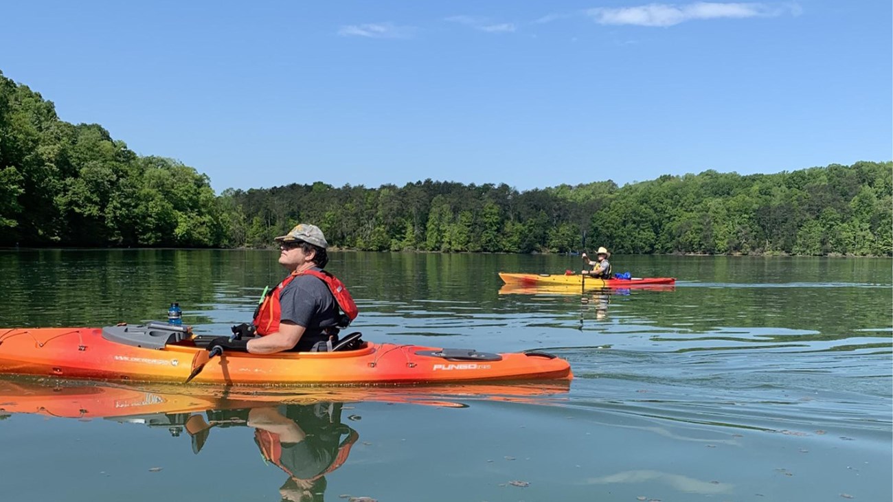 Two kayakers on the water on a sunny day.