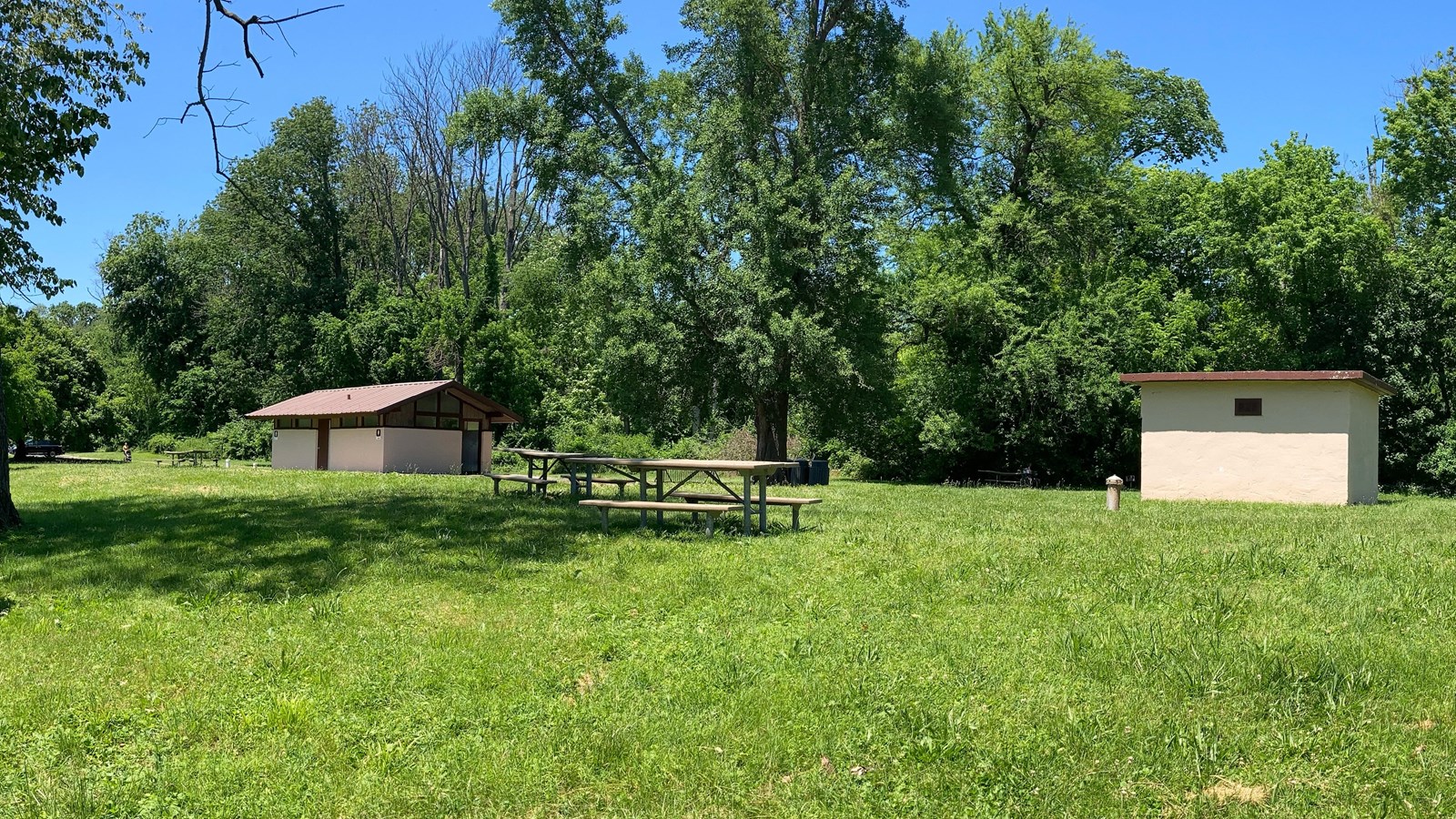 picnic table and a small restroom building. grass and trees.