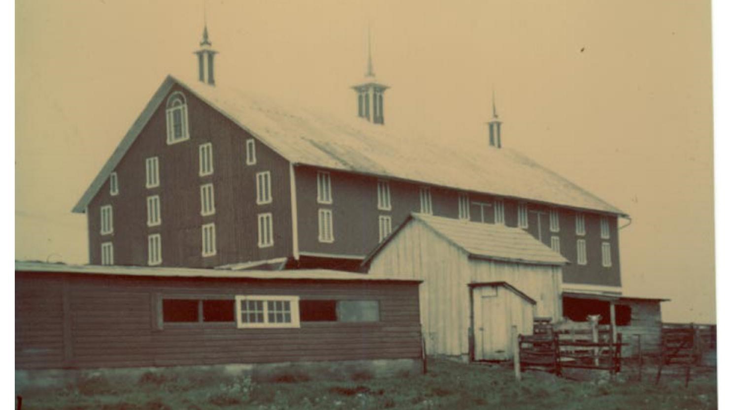 A color image of a tall red barn with a small white building in front, and a red chicken coop