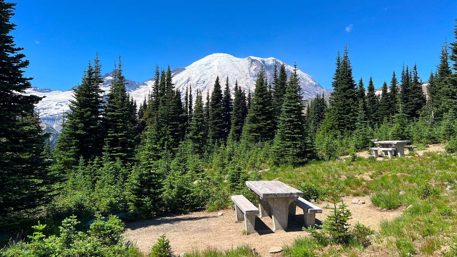 Picnic table in grassy meadow surrounded by trees with glaciated mountain in the background