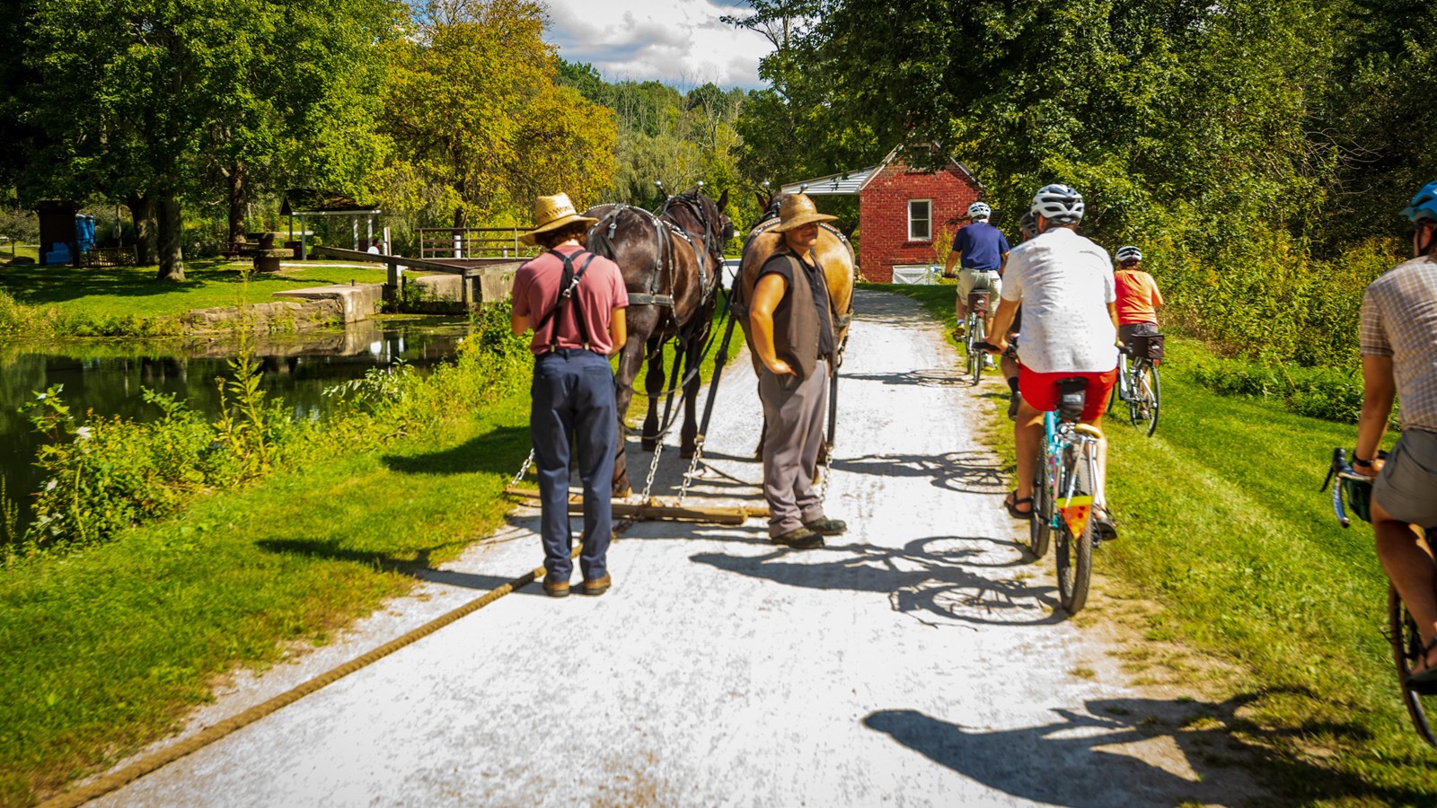 Bikers and cattleman enjoy a trail