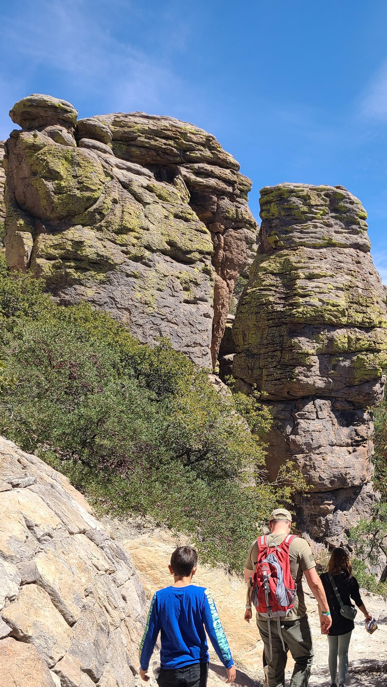 a family hikes away from the camera with large rock formations towering over and scrubby trees