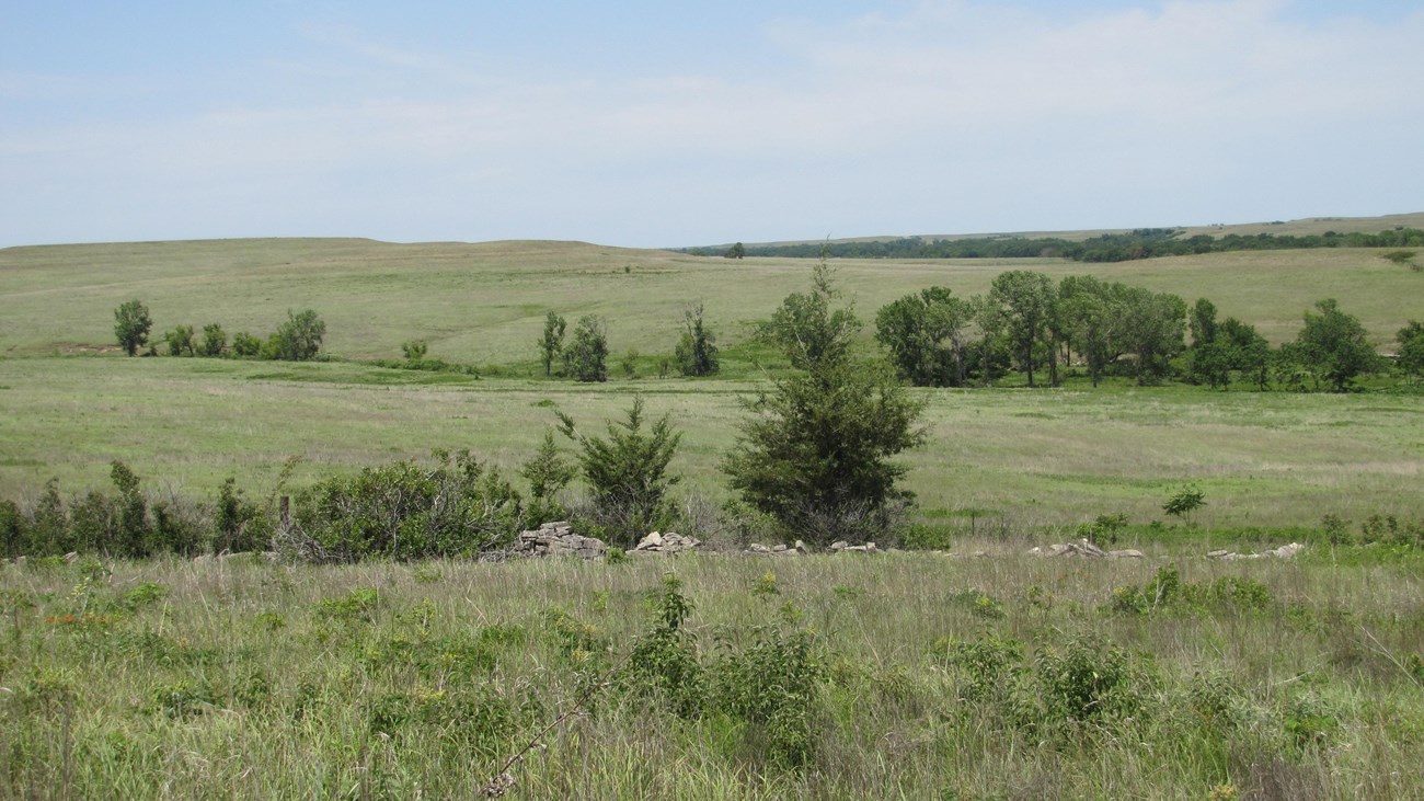 Mowed and gravel path make up the Southwind Nature Trail.