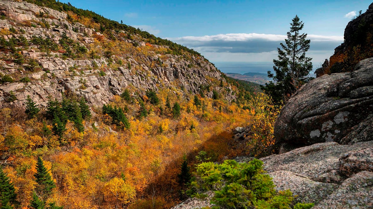 Steep granite mountain face is partially covered with deciduous and evergreen trees in fall color.