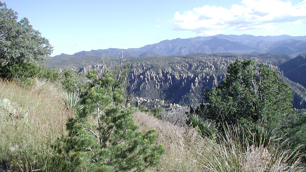 Green hillside with mountains and rock formations in the distance