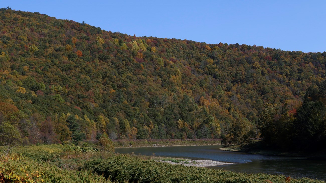 Blue river bends around tall forested hills in colors of orange, red, yellow, and green.