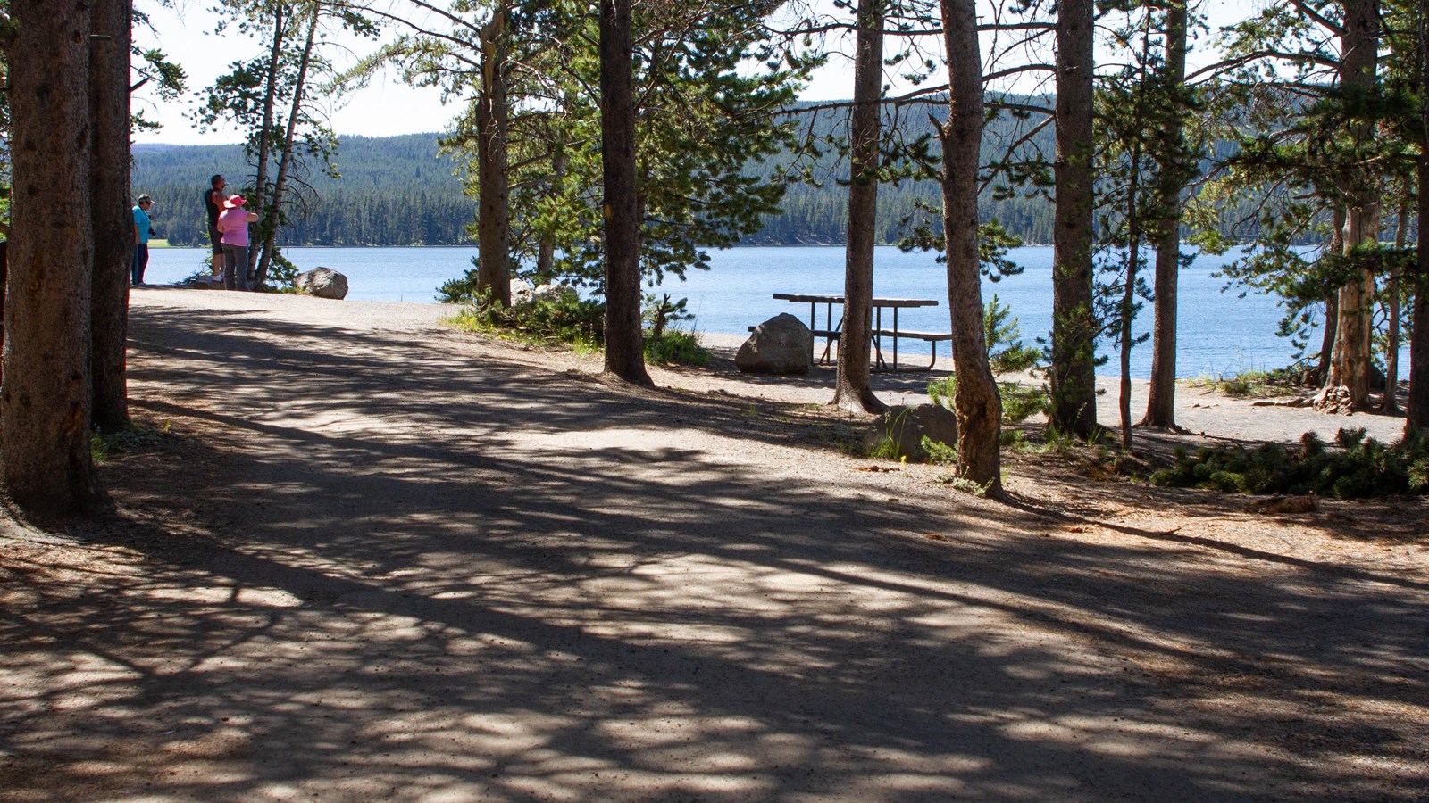 A picnic table in the forest near a lake shore