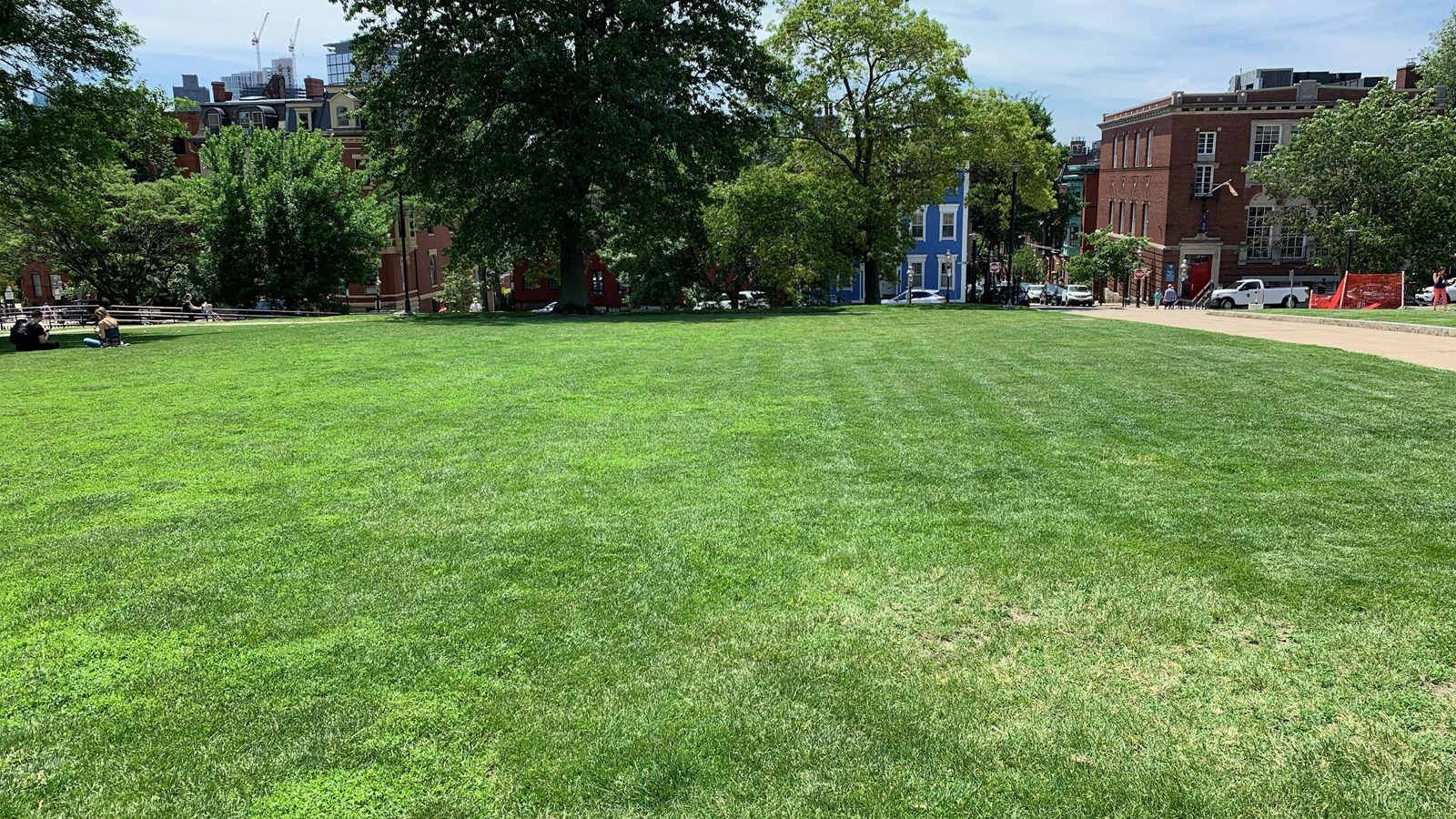 Green space with trees and neighborhood homes in the background