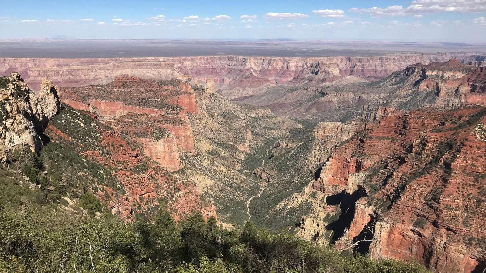 A small green hill overlooks a wide greenish valley bounded by the red cliffs of grand canyon.