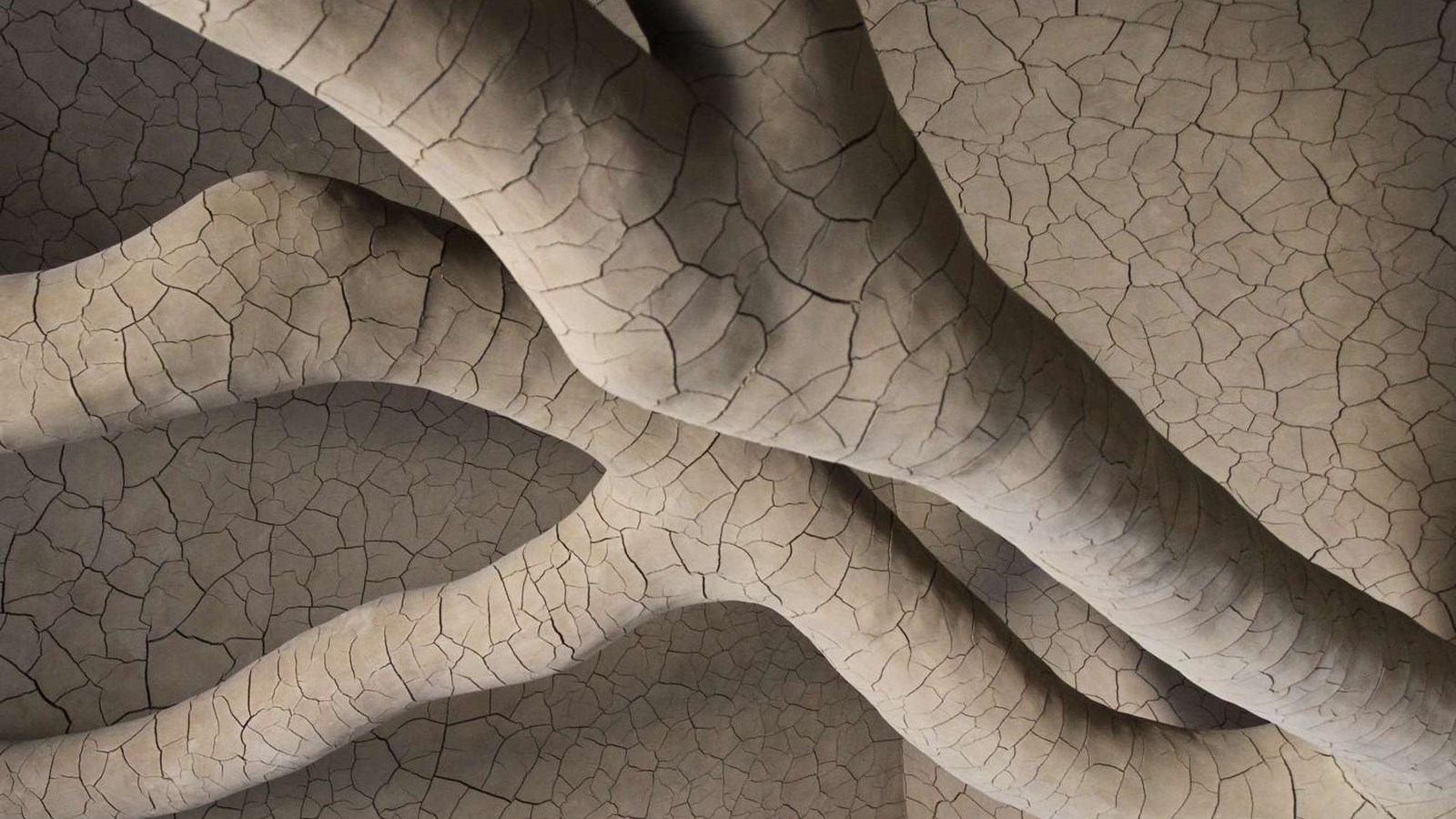 Looking up at Tree Fall from below