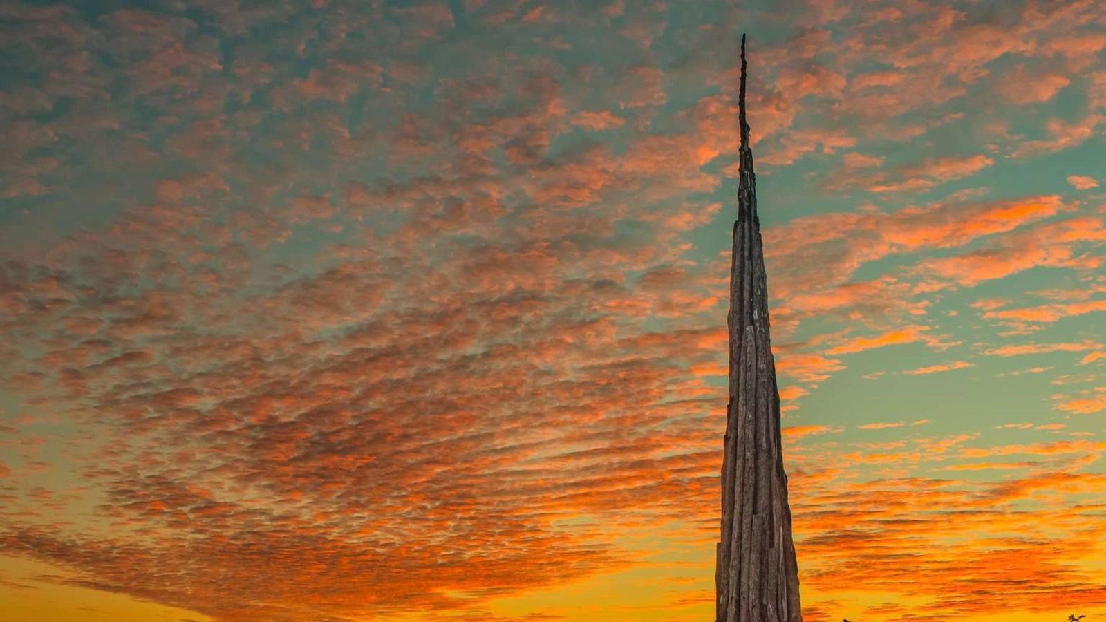 Andy Goldsworthy\'s Spire jutting up over the canopy against a bright orange sunset.