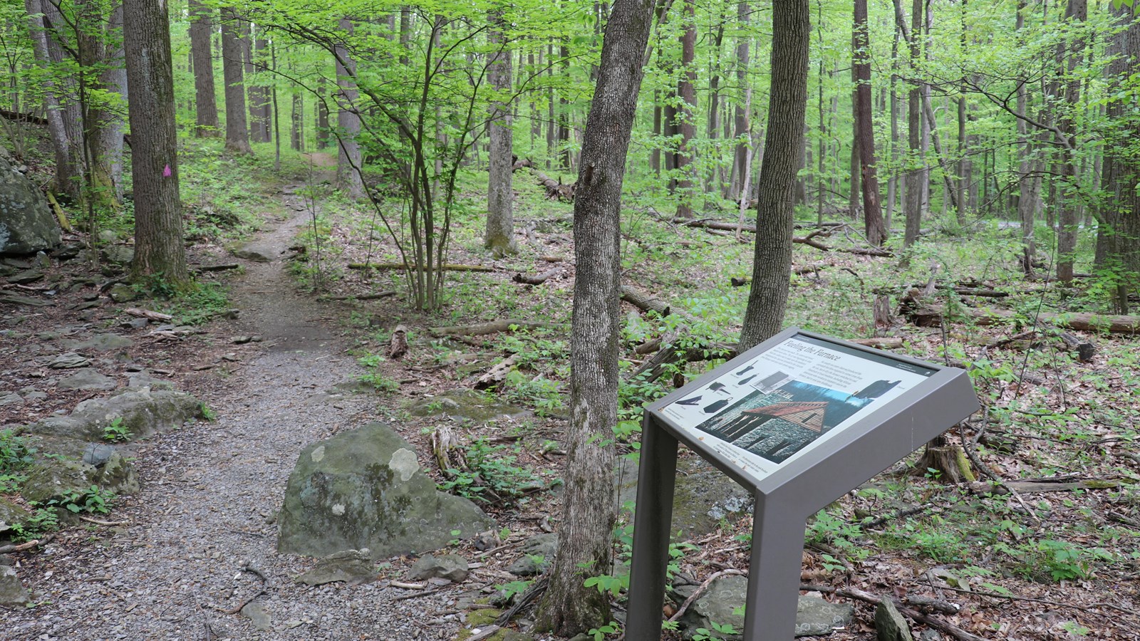 A wayside panel, next to a forest trail, describing historic iron production.