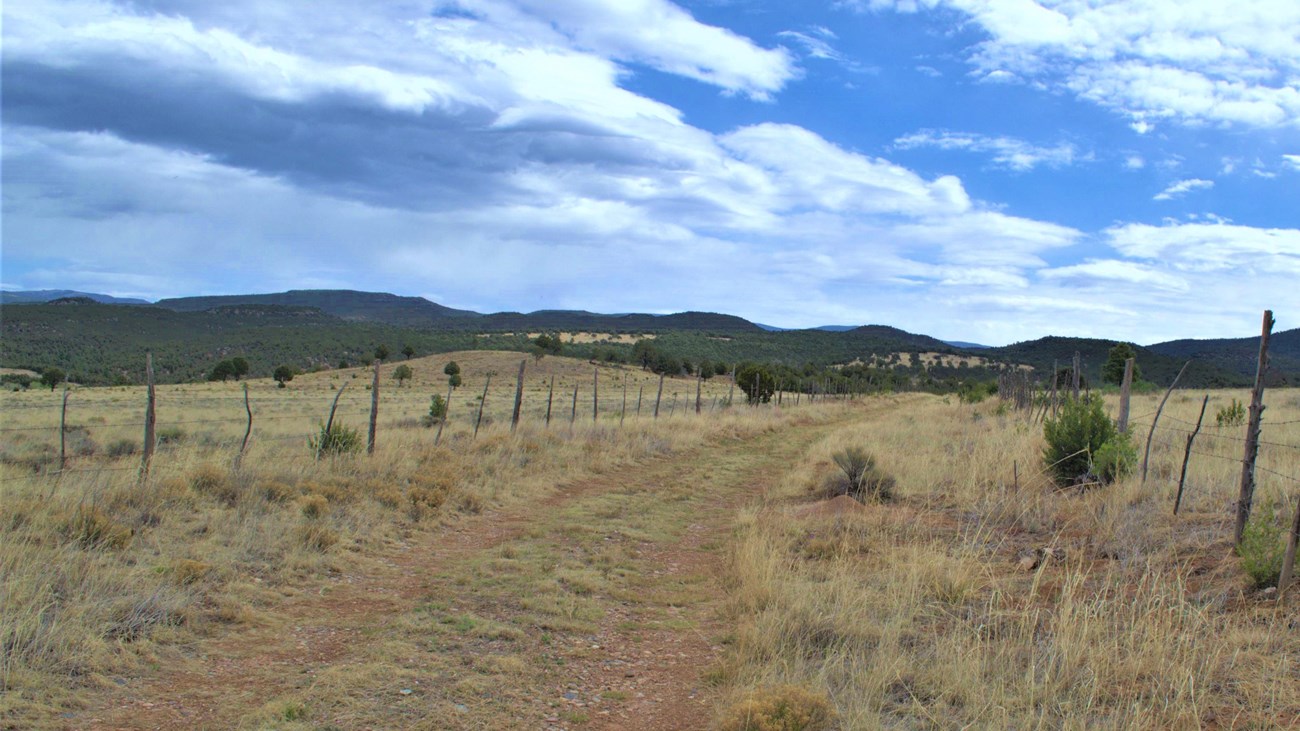 Dirt Road, Blue Sky, Mountains, Grass, Fence Posts