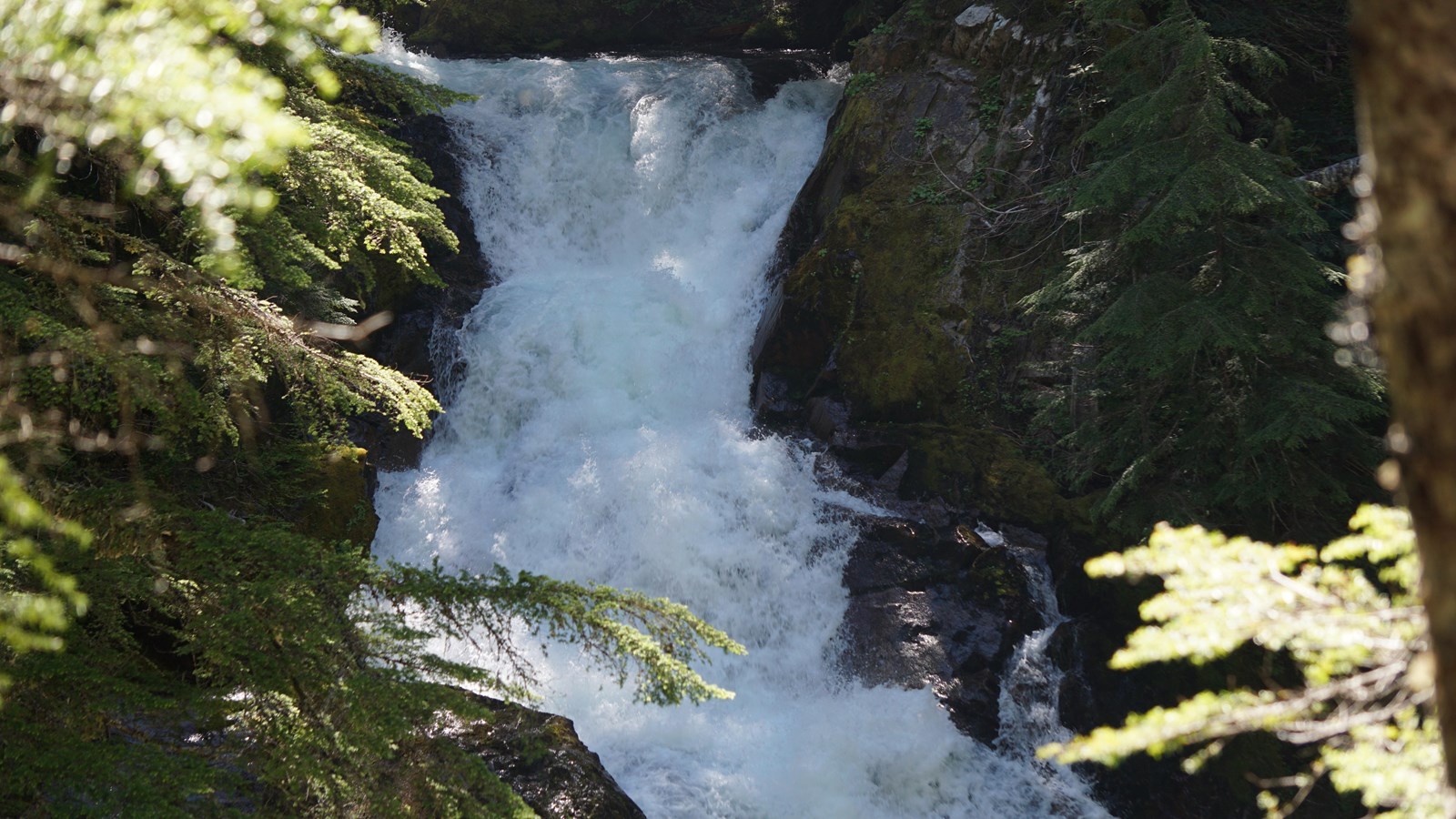 60 foot waterfall in a scenic gorge