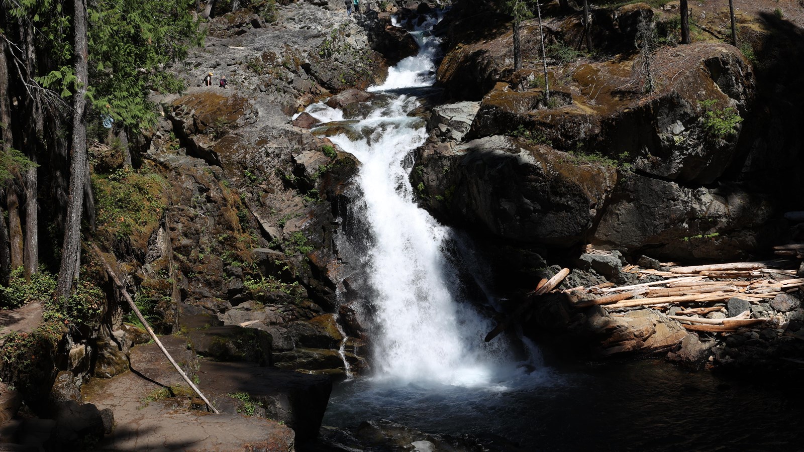 60 foot waterfall surrounded by old growth forest