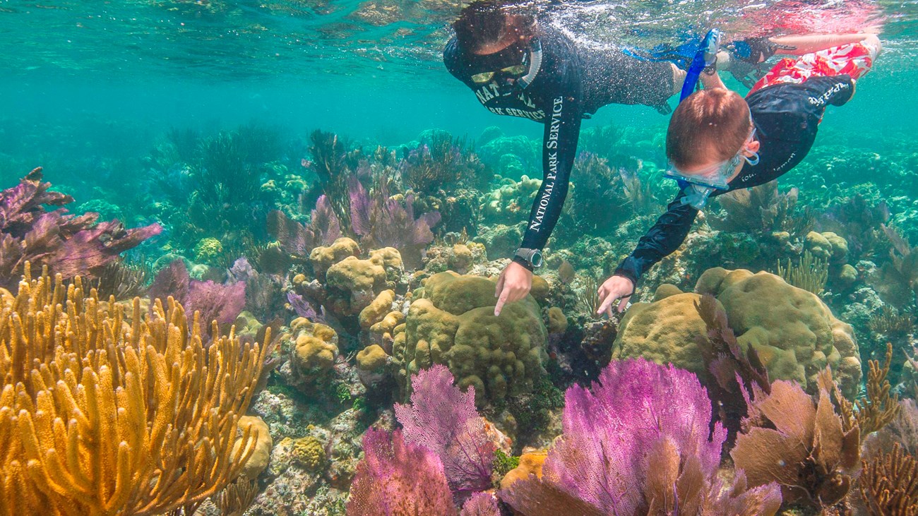 Snorkel Little Africa