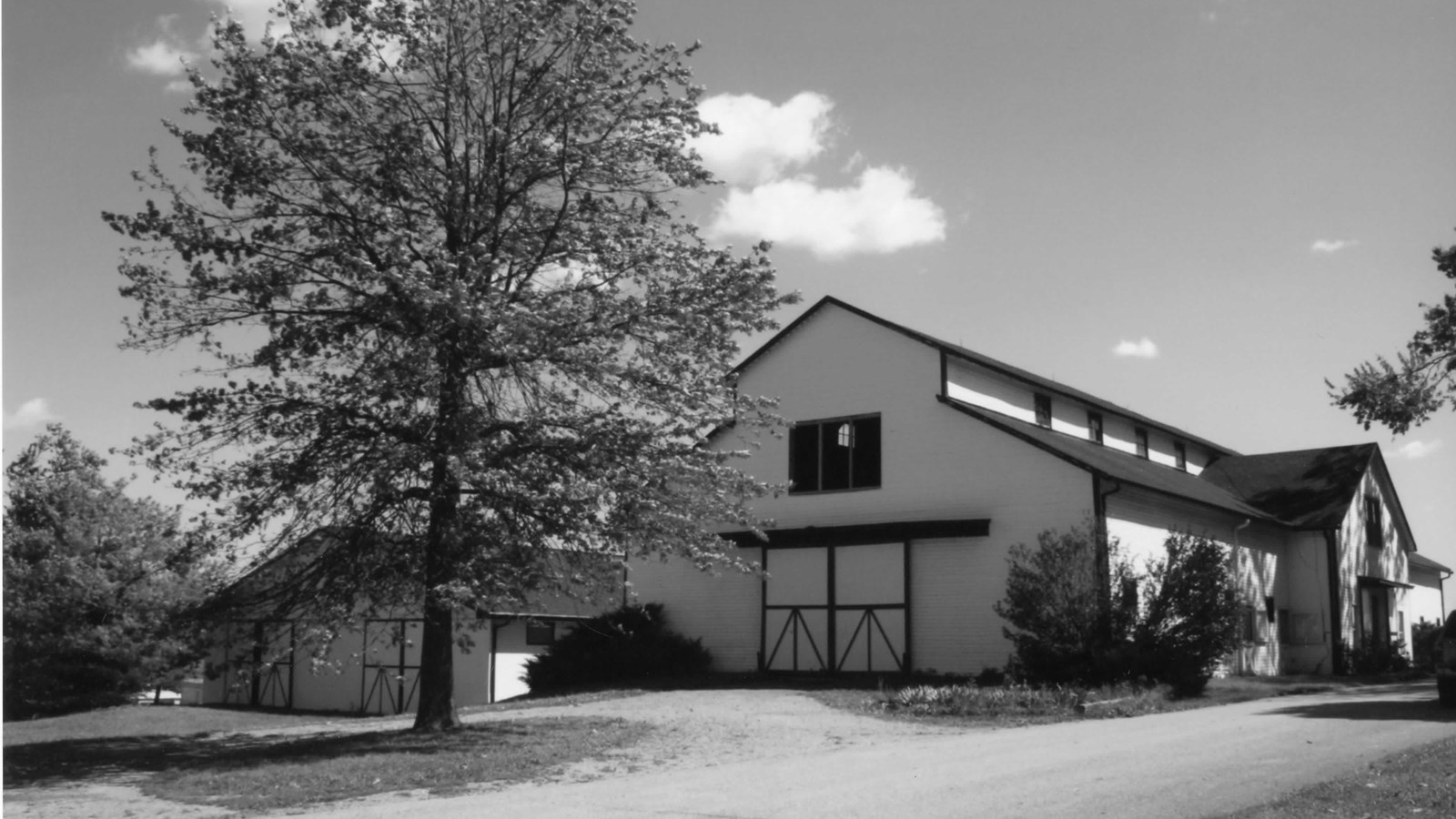 White barn with large tree in front