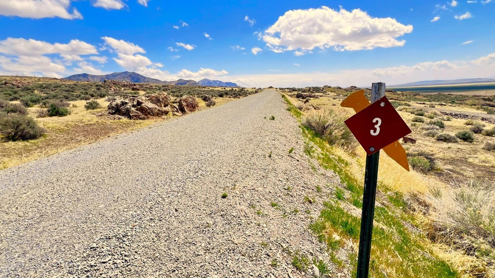 Gravel road through landscape of yellow and green sagebrush with some clouds in a blue sky