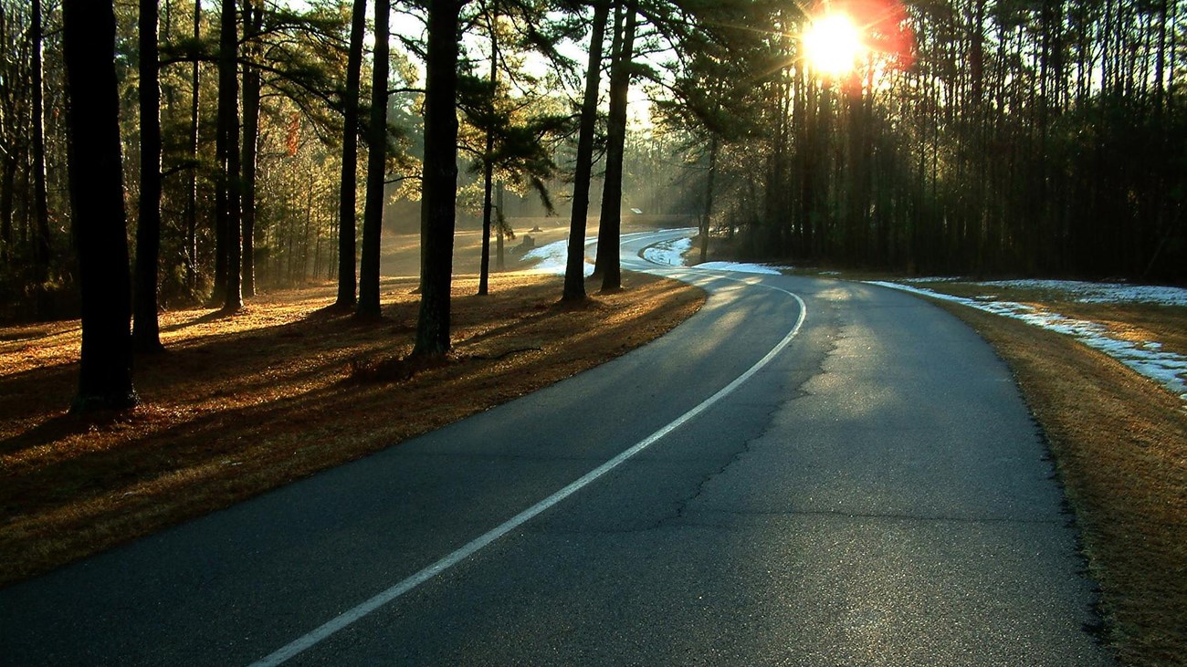 Paved one-way road, with trees along side, and the sun rising to the right.