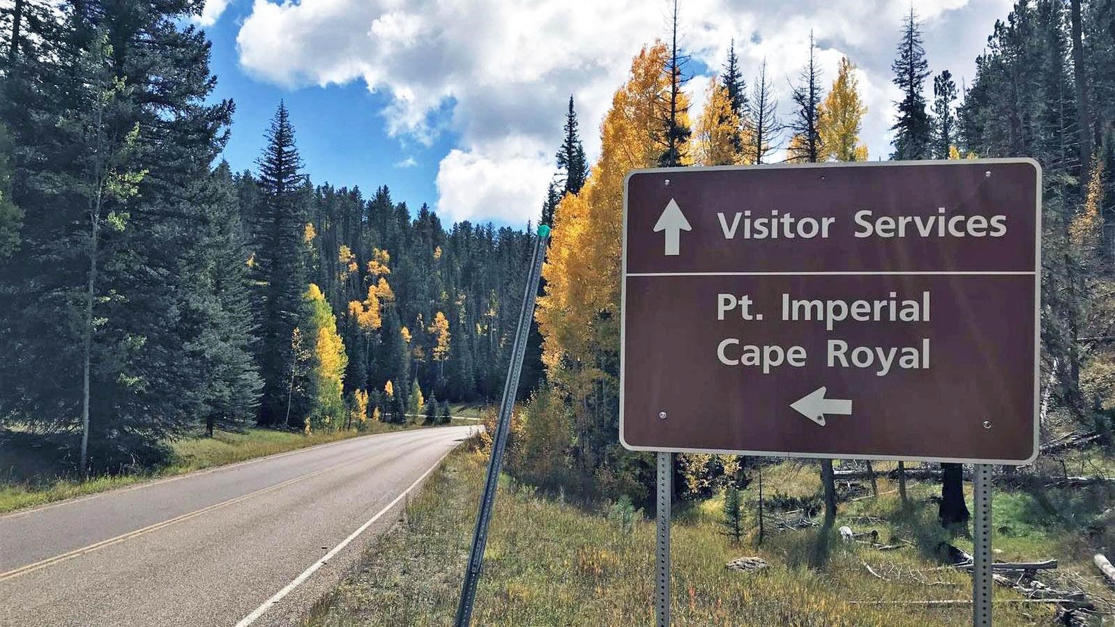 a brown roadside sign with arrows marks the direction to scenic roads and visitor services.