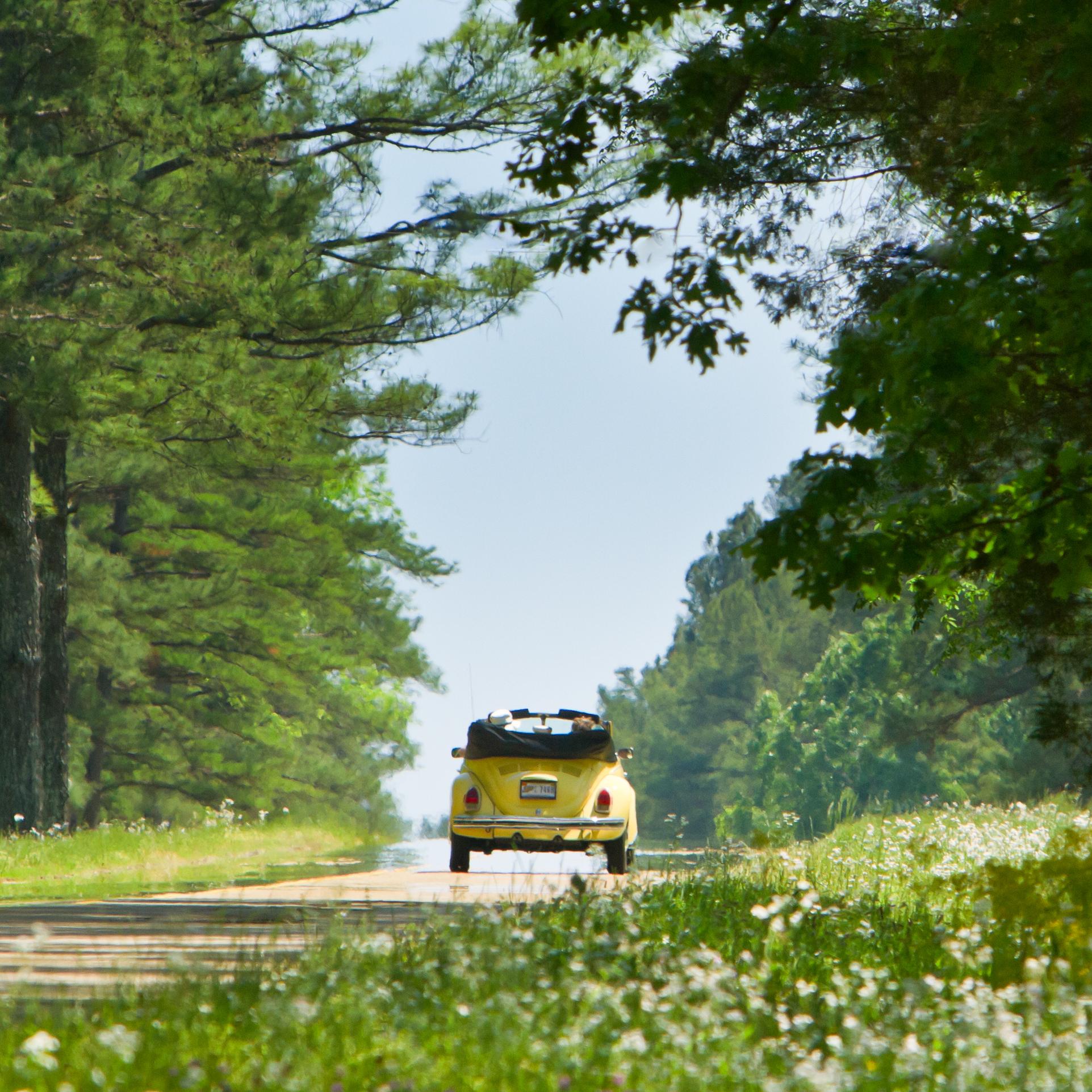 Yellow VW Beetle drives away from the viewer along the Natchez Trace Parkway