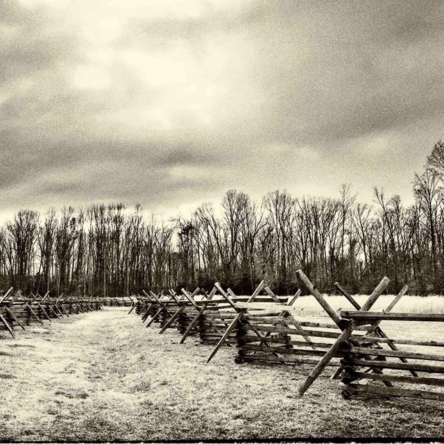 Black and white image of wooden fence lining Civil War battlefield