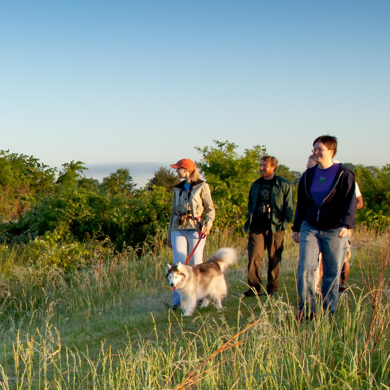 A group of hikers and their dog walk through a prairie with tall grass on either side of the trail.