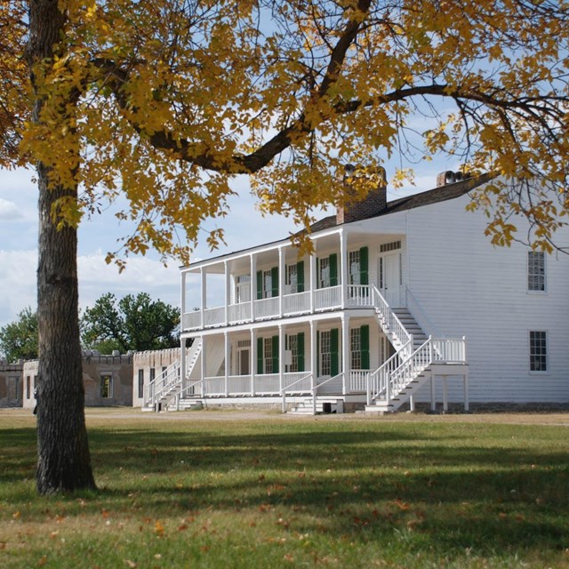 A two-story white building with a grassy lawn and large tree in front.
