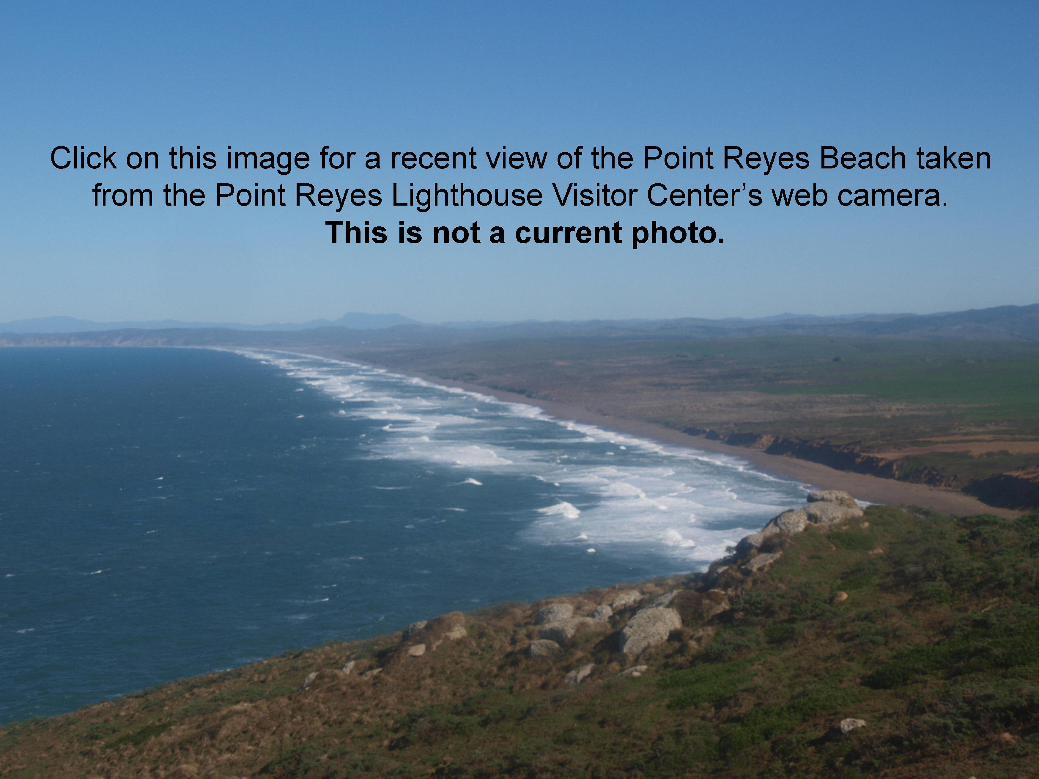 View of Point Reyes Beach Looking North-Northeast preview image