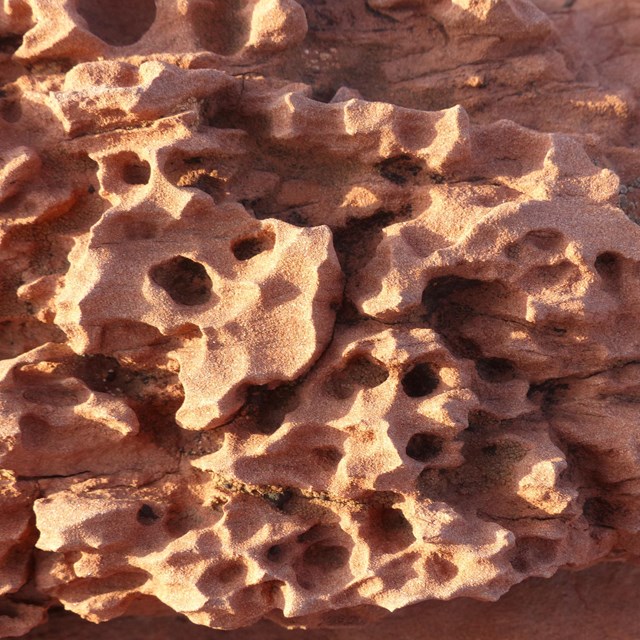 Close-up of eroded sandstone