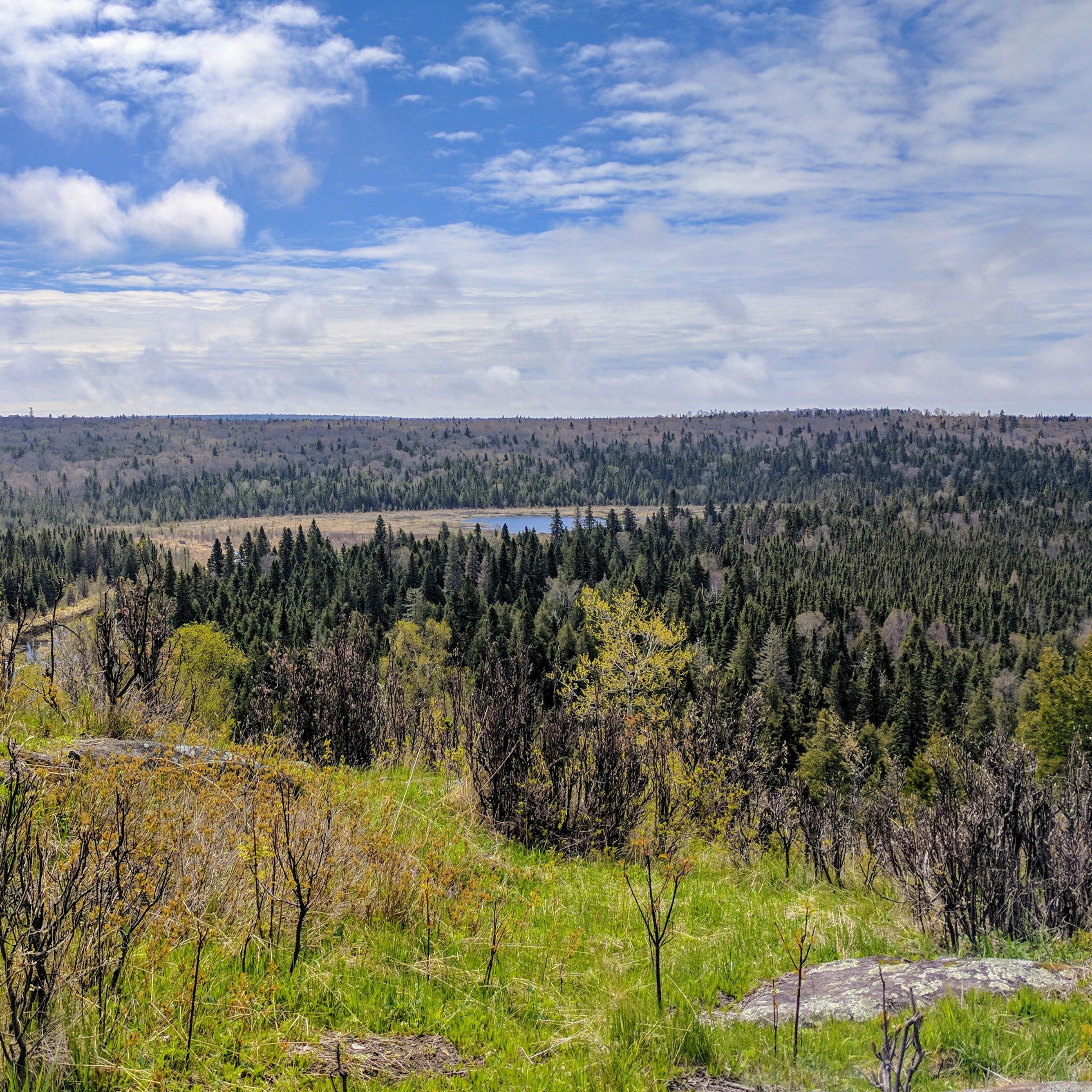 Cloudy skies overlook forested ridges and a creek in the distance. 