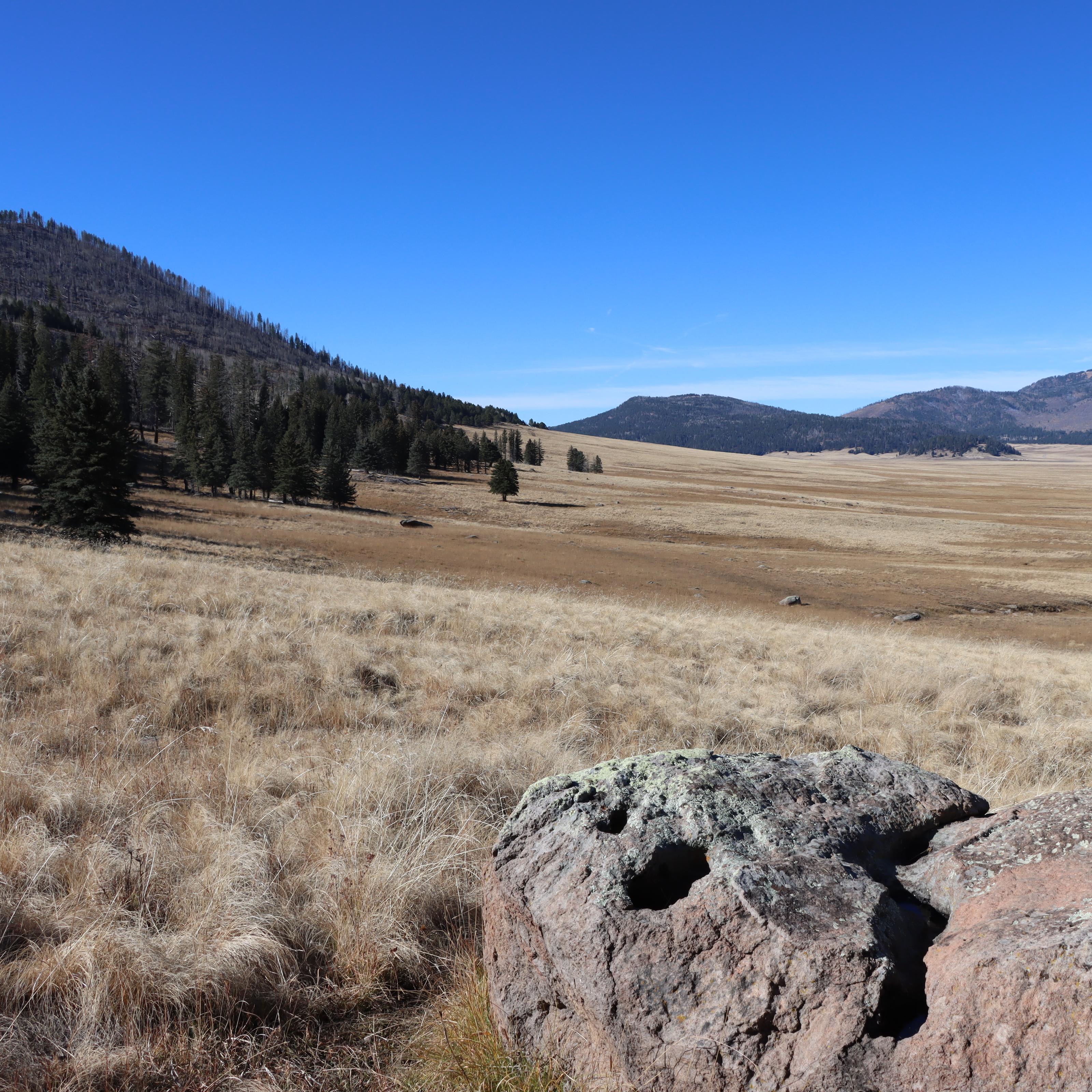 A large boulder in a vast, grassy valley surrounded by forested hills.