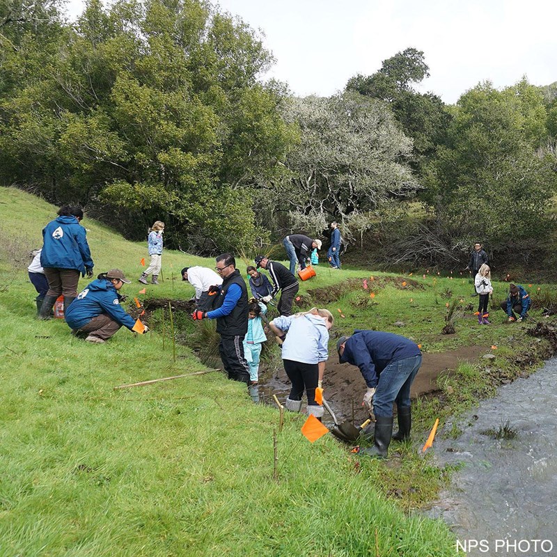 Seventeen volunteers planting vegetation along a stream to stabilize the stream bank.