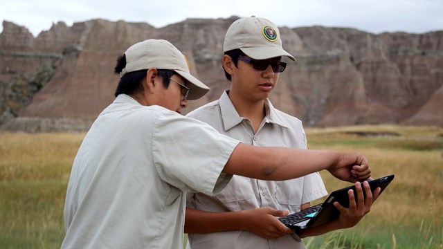 Two boys using a laptop to in a grassland near rock formations