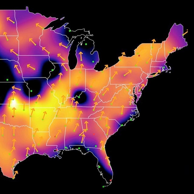 a map that shows bird migration with purple through yellow colors to indicate density