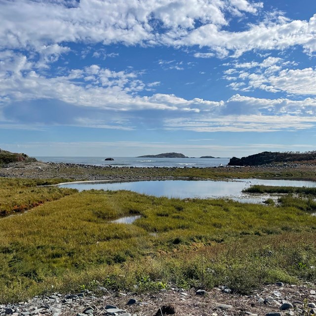 A salt marsh, surrounded by low grasses. 