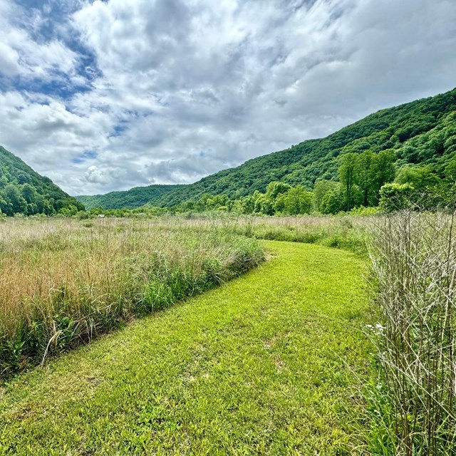 Bright green field with rolling hills and blue sky in the background