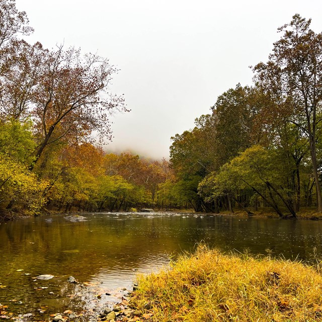 Fog over a river lined with forest