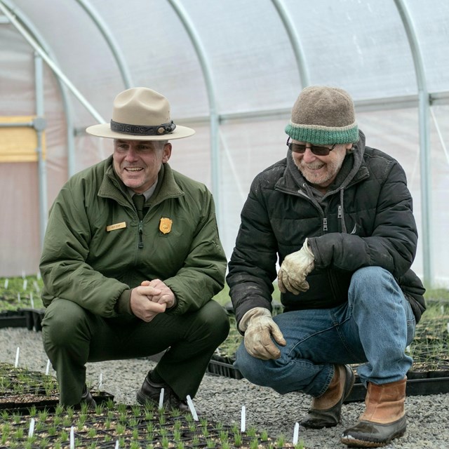 Two men crouch in front a plant nursey bed