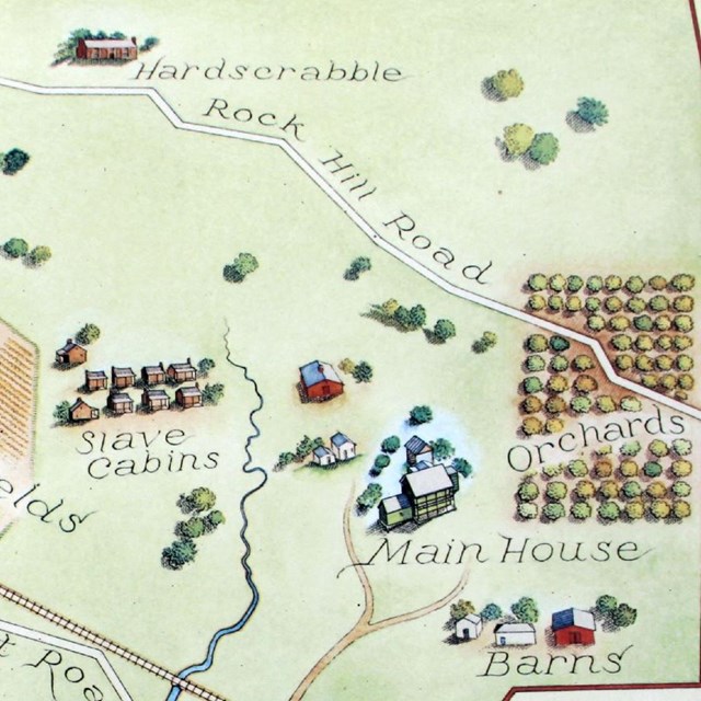 Illustrated map of a plantation site. 