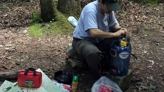 Best practices while camping in bear country