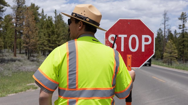 A man in a bright yellow vest holds a stop sign.