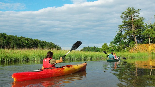 A rack of canoes with a marsh landscape behind. 