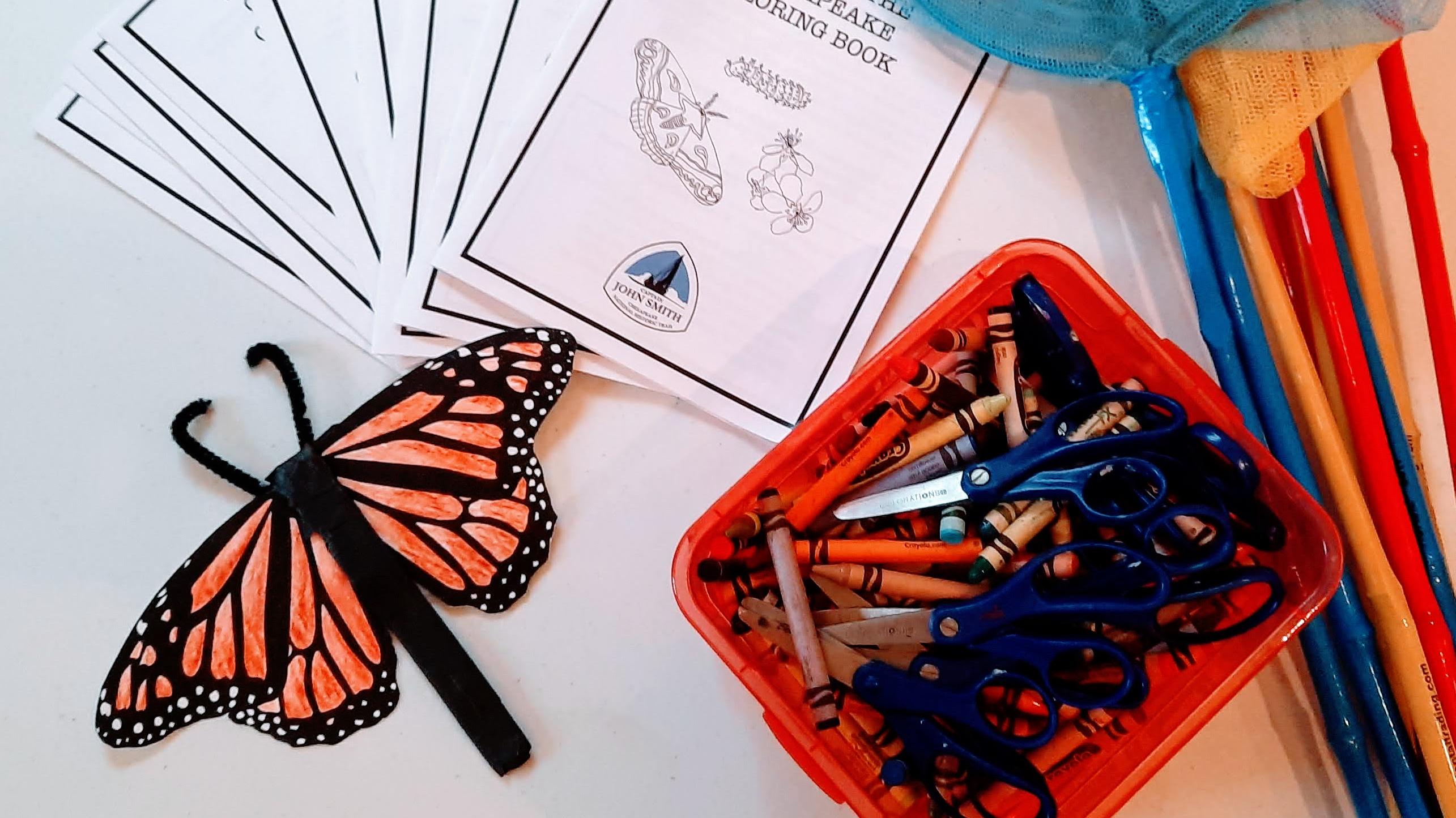 A table with coloring books, pencils, butterfly net, and model monarch butterfly. 