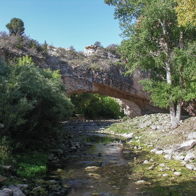 A large rock bridge stretches over a creek in a vegetated area.