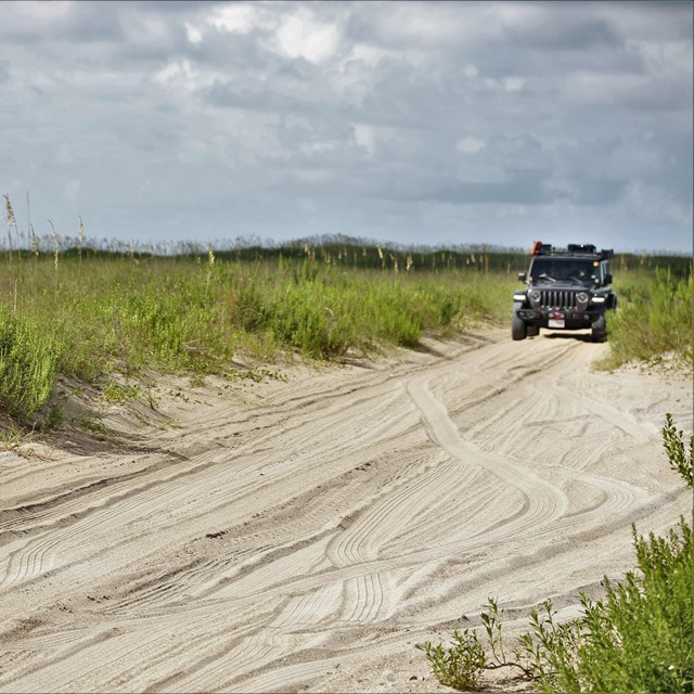 Sand backraod with a vehicle driving down it. 