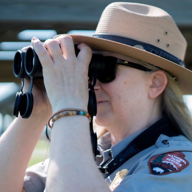 A ranger holds binoculars to go birding at the park. 