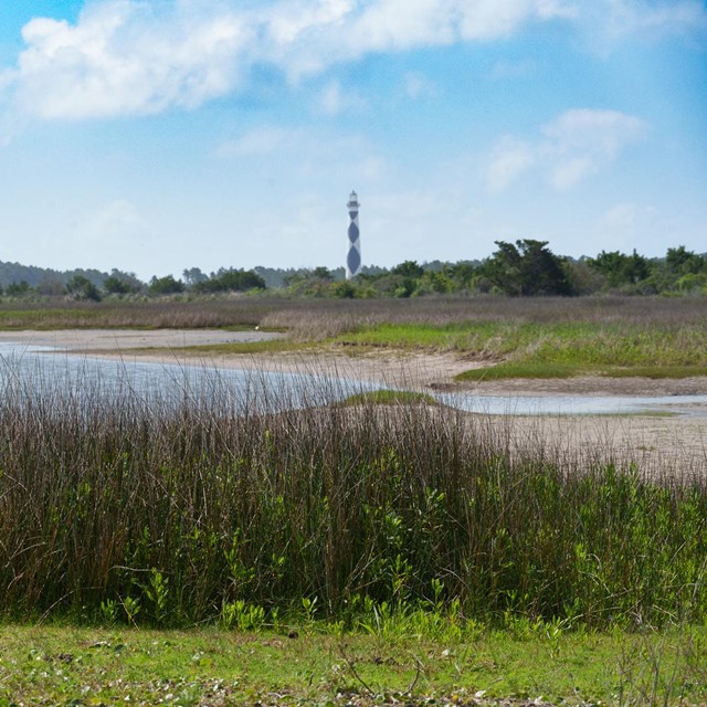 Lighthouse in the background, grass in the foreground. 