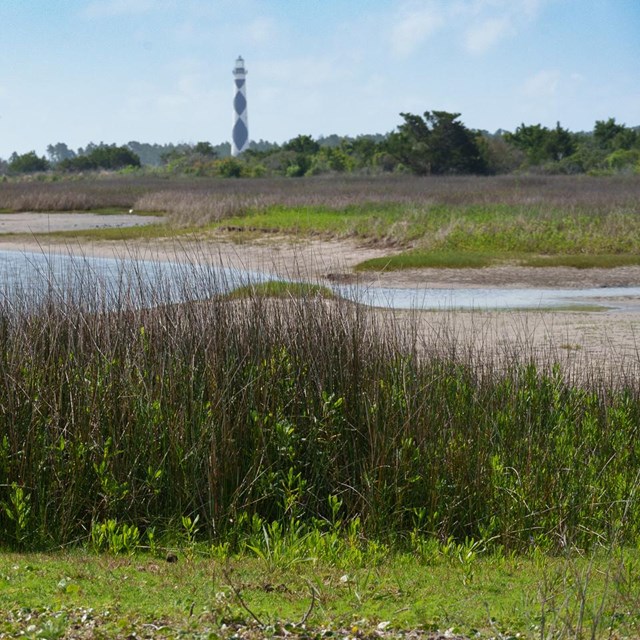 Landscape of Cape Lookout Lighthouse