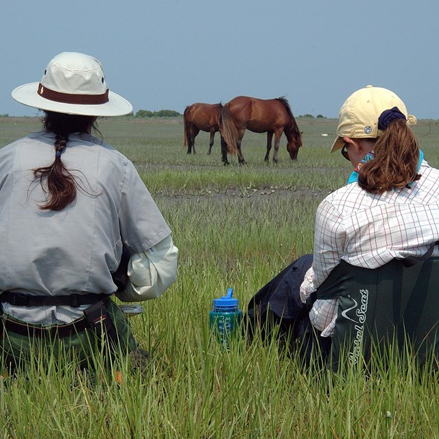 A ranger and visitor watch horses from a safe distance.
